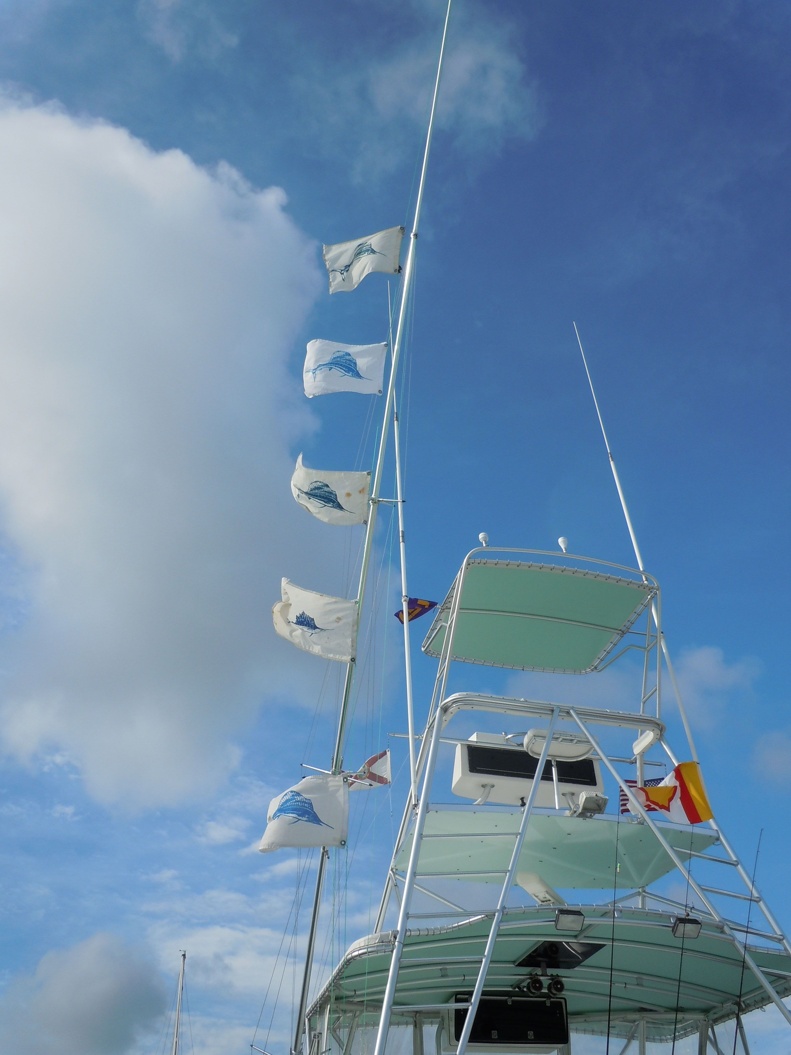 5 catch and release flags flying on the southpaw sport fisher