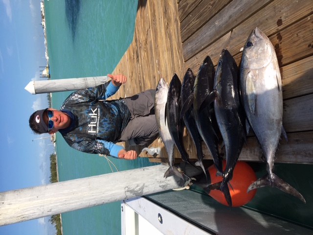 6 black fin tuna on the dock