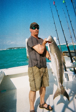 cobia held by a man